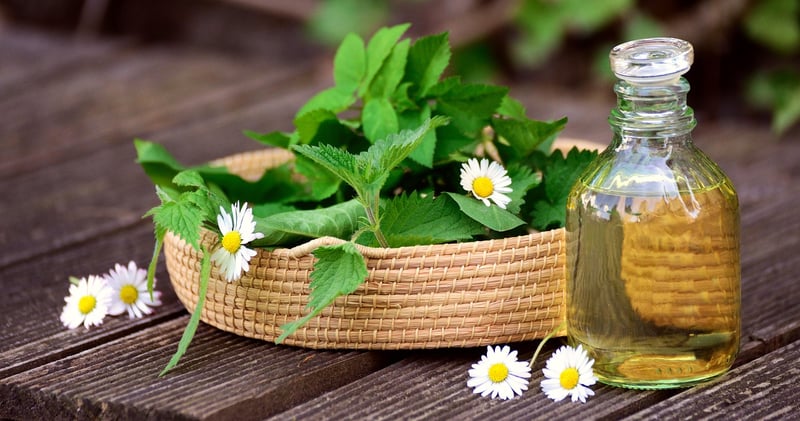 Herbal Medicine